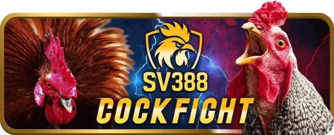 Các loại trò chơi slot trên ok8386